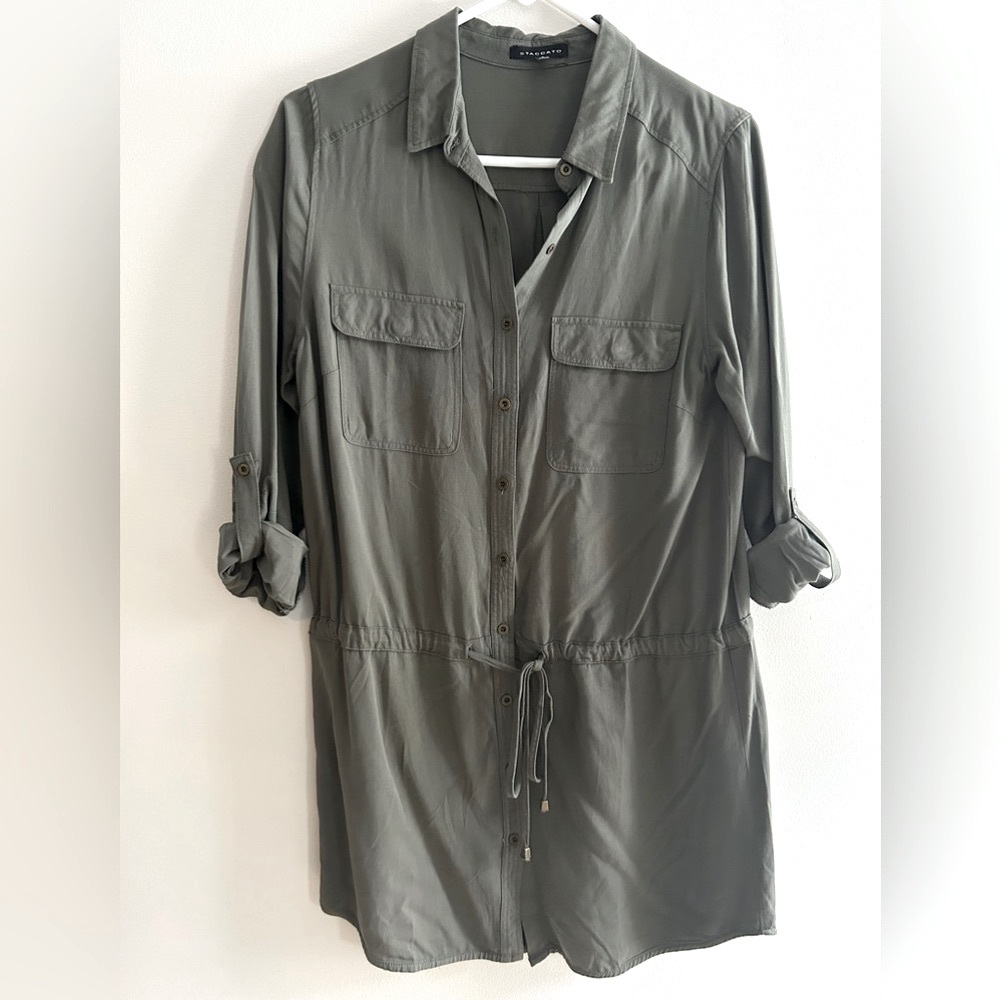 Staccato Collared Dress Tunic